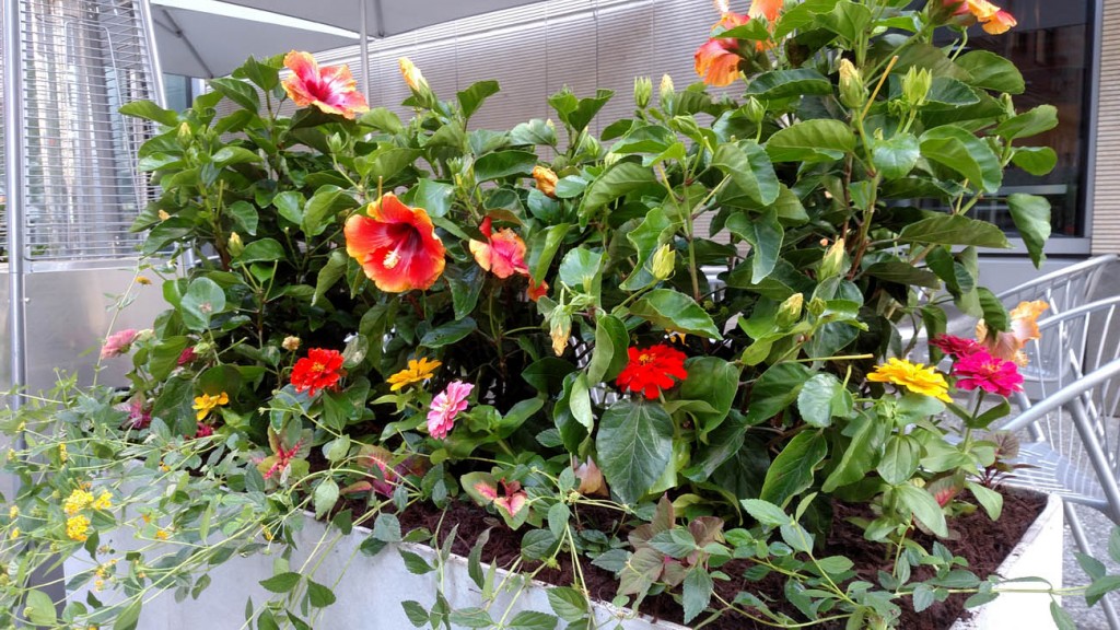 outdoor flower arrangement