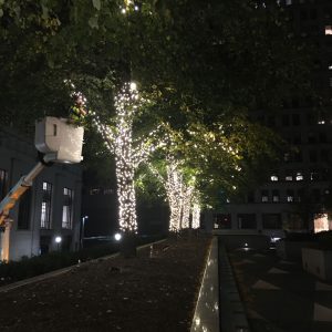 Holiday Decorating - Trees, Lights, Decorations for Businesses