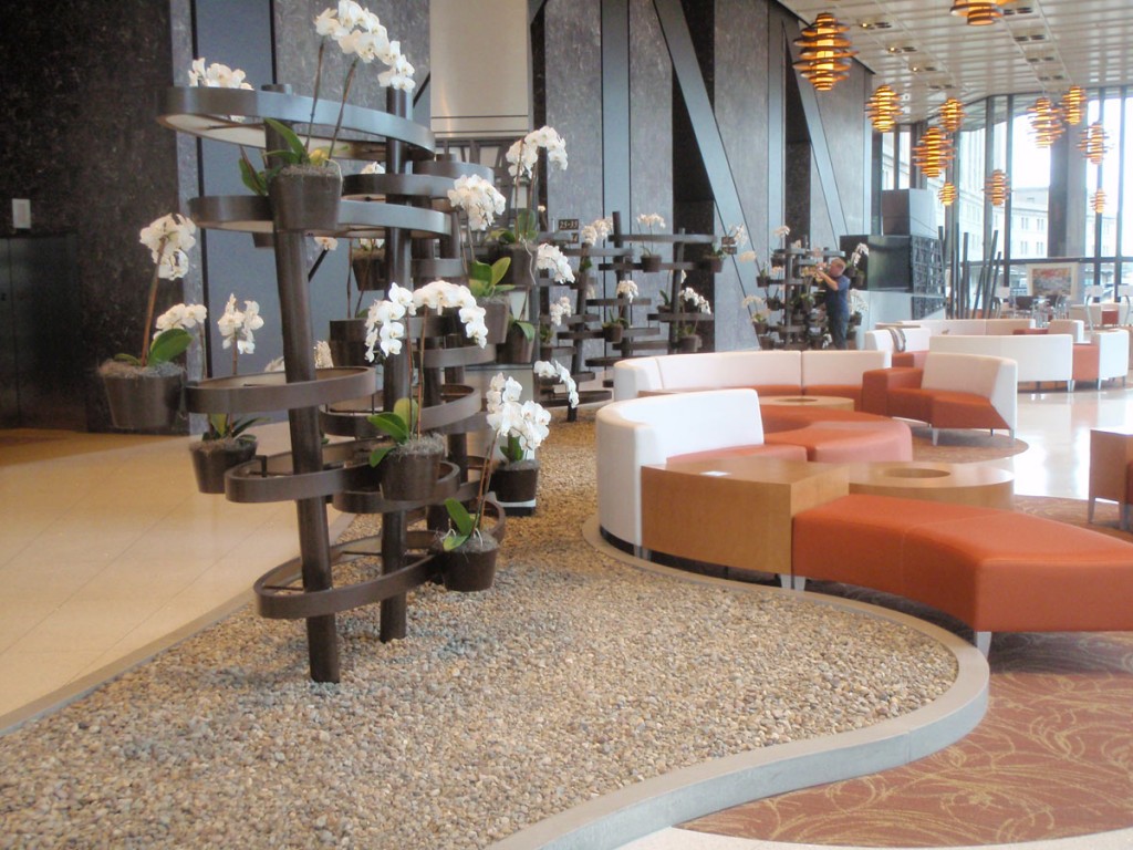 corporate plantscape