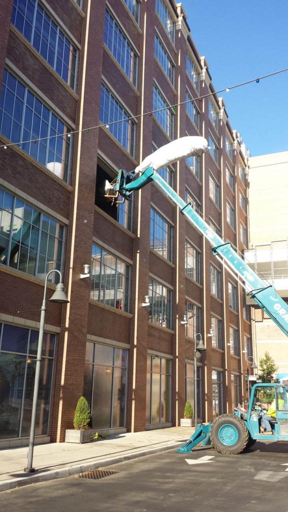 crane to move giant tree