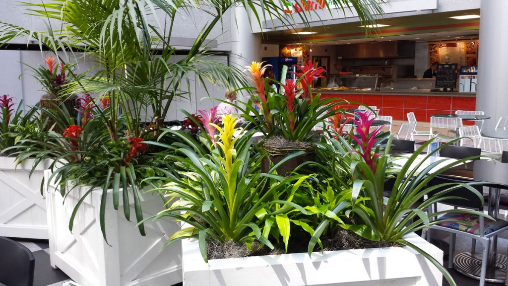 food court plant maintenance
