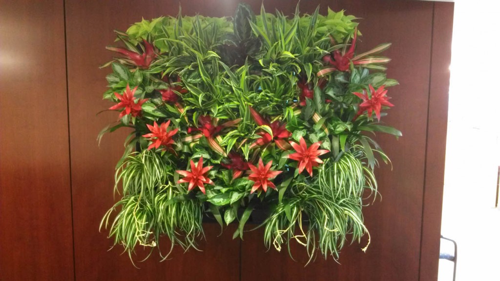 green wall plantscape