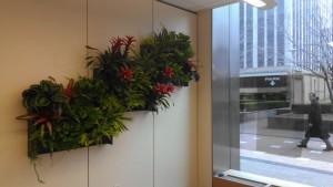 interior office green wall