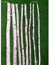 Birch Poles